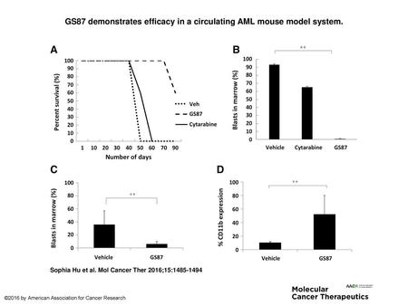 GS87 demonstrates efficacy in a circulating AML mouse model system.