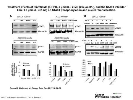 Treatment effects of fenretinide (4-HPR, 5 μmol/L), 2-ME (2