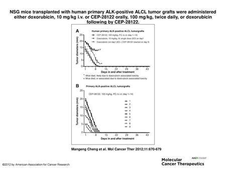 NSG mice transplanted with human primary ALK-positive ALCL tumor grafts were administered either doxorubicin, 10 mg/kg i.v. or CEP-28122 orally, 100 mg/kg,