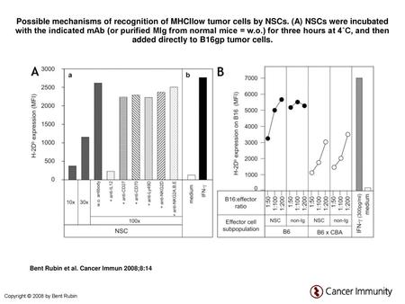 Possible mechanisms of recognition of MHCIlow tumor cells by NSCs