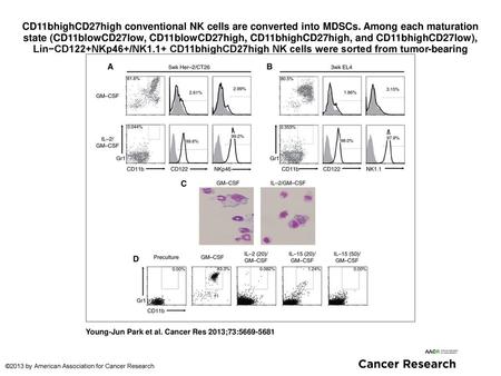 CD11bhighCD27high conventional NK cells are converted into MDSCs