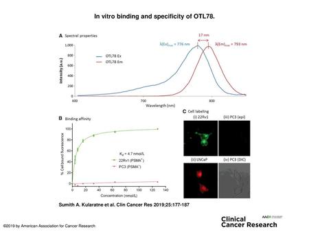 In vitro binding and specificity of OTL78.