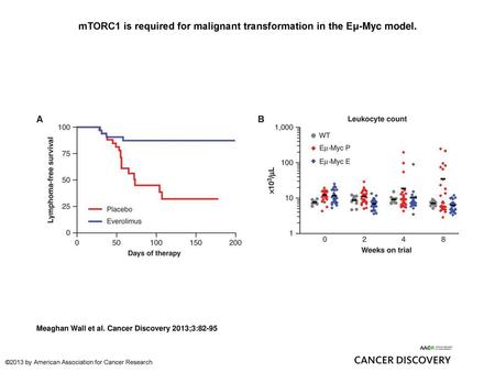 mTORC1 is required for malignant transformation in the Eμ-Myc model.