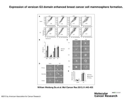 Expression of versican G3 domain enhanced breast cancer cell mammosphere formation. Expression of versican G3 domain enhanced breast cancer cell mammosphere.