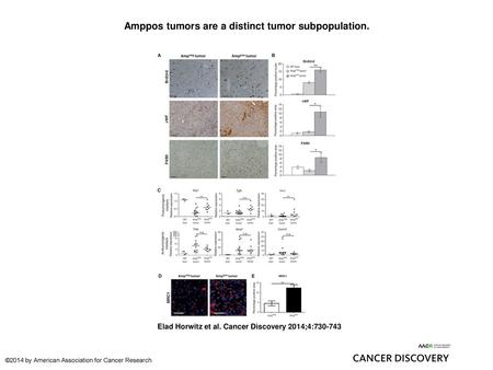 Amppos tumors are a distinct tumor subpopulation.