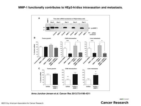 MMP-1 functionally contributes to HEp3-hi/diss intravasation and metastasis. MMP-1 functionally contributes to HEp3-hi/diss intravasation and metastasis.