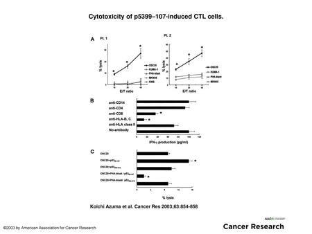 Cytotoxicity of p5399–107-induced CTL cells.