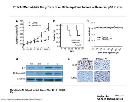 PRIMA-1Met inhibits the growth of multiple myeloma tumors with mutant p53 in vivo. PRIMA-1Met inhibits the growth of multiple myeloma tumors with mutant.