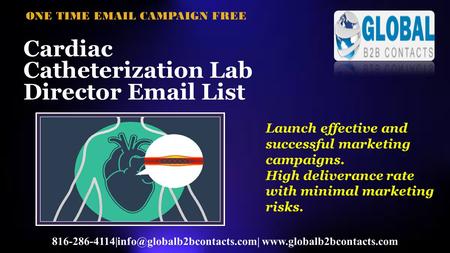 Cardiac Catheterization Lab Director  List   ONE TIME  CAMPAIGN FREE Launch.