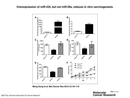 Overexpression of miR-335, but not miR-29a, reduces in vitro carcinogenesis. Overexpression of miR-335, but not miR-29a, reduces in vitro carcinogenesis.