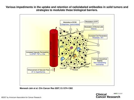 Various impediments in the uptake and retention of radiolabeled antibodies in solid tumors and strategies to modulate these biological barriers. Various.