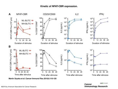 Kinetic of NFAT-CBR expression.