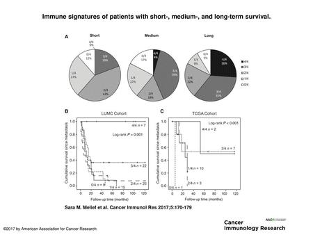 Immune signatures of patients with short-, medium-, and long-term survival. Immune signatures of patients with short-, medium-, and long-term survival.