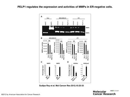 PELP1 regulates the expression and activities of MMPs in ER-negative cells. PELP1 regulates the expression and activities of MMPs in ER-negative cells.