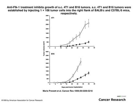 Anti-Flk-1 treatment inhibits growth of s. c. 4T1 and B16 tumors. s. c