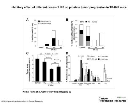 Inhibitory effect of different doses of IP6 on prostate tumor progression in TRAMP mice. Inhibitory effect of different doses of IP6 on prostate tumor.