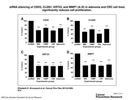 SiRNA silencing of CDH3, CLDN1, KRT23, and MMP7 (A–D) in adenoma and CRC cell lines significantly reduces cell proliferation. siRNA silencing of CDH3,