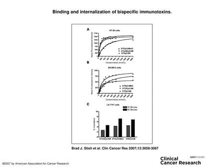 Binding and internalization of bispecific immunotoxins.