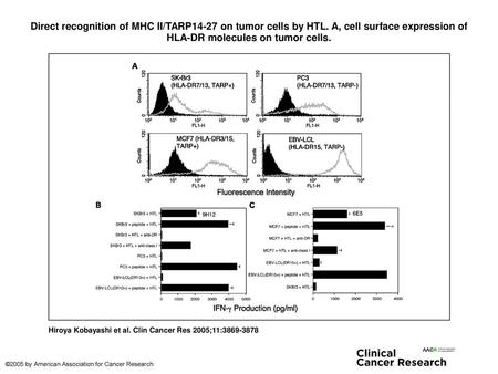 Direct recognition of MHC II/TARP14-27 on tumor cells by HTL