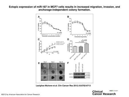 Ectopic expression of miR-187 in MCF7 cells results in increased migration, invasion, and anchorage-independent colony formation. Ectopic expression of.