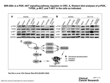 MiR-200c is a PI3K–AKT signaling pathway regulator in CRC