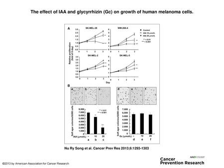 The effect of IAA and glycyrrhizin (Gc) on growth of human melanoma cells. The effect of IAA and glycyrrhizin (Gc) on growth of human melanoma cells. A,