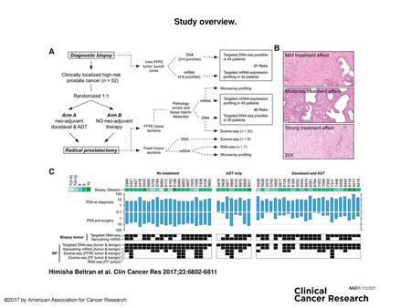 Study overview. Study overview. A, Schematic illustrating clinical trial design and the nature and number of tissue specimens available for downstream.