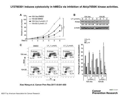 LY2780301 induces cytotoxicity in hMECs via inhibition of Akt/p70S6K kinase activities. LY2780301 induces cytotoxicity in hMECs via inhibition of Akt/p70S6K.