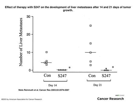 Effect of therapy with S247 on the development of liver metastases after 14 and 21 days of tumor growth. Effect of therapy with S247 on the development.