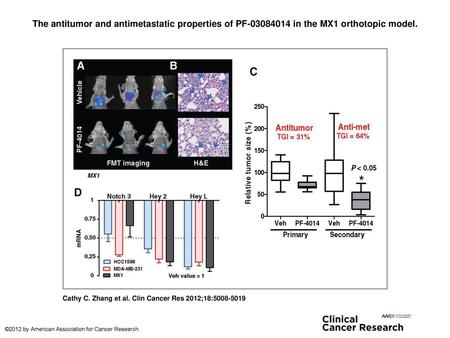 The antitumor and antimetastatic properties of PF-03084014 in the MX1 orthotopic model. The antitumor and antimetastatic properties of PF-03084014 in the.