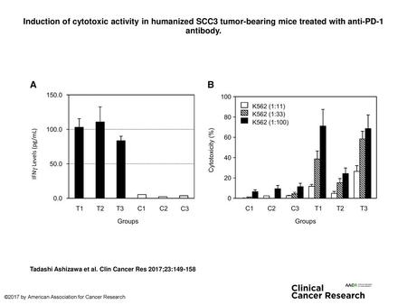 Induction of cytotoxic activity in humanized SCC3 tumor-bearing mice treated with anti-PD-1 antibody. Induction of cytotoxic activity in humanized SCC3.