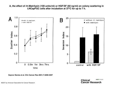 A, the effect of rh-Matrilysin (100 units/ml) or HGF/SF (60 ng/ml) on colony scattering in LNCapFGC cells after incubation at 37°C for up to 7 h. A, the.