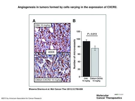 Angiogenesis in tumors formed by cells varying in the expression of CXCR2. Angiogenesis in tumors formed by cells varying in the expression of CXCR2. A,