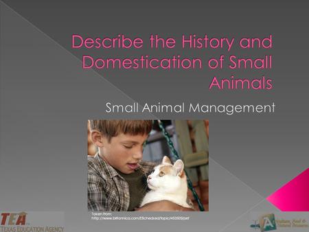 Describe the History and Domestication of Small Animals