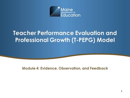 Teacher Performance Evaluation and Professional Growth (T-PEPG) Model