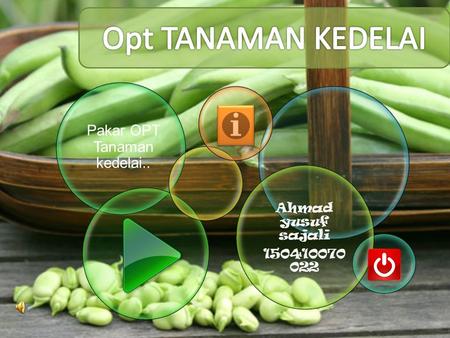 Pakar OPT Tanaman kedelai..