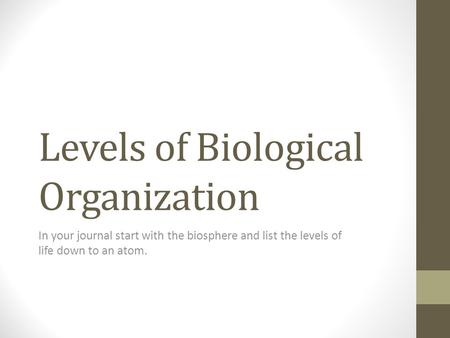 Levels of Biological Organization