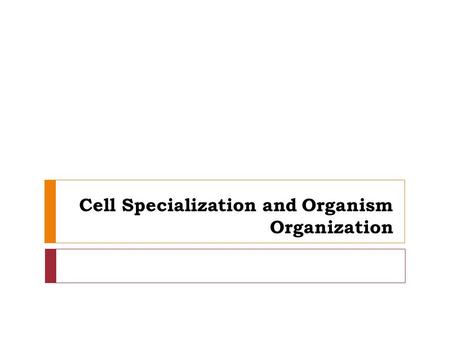 Cell Specialization and Organism Organization