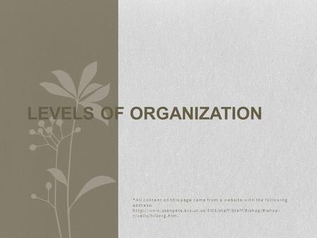 Levels of Organization