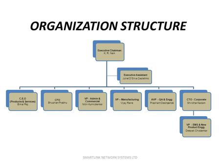 ORGANIZATION STRUCTURE