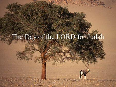 The Day of the LORD for Judah