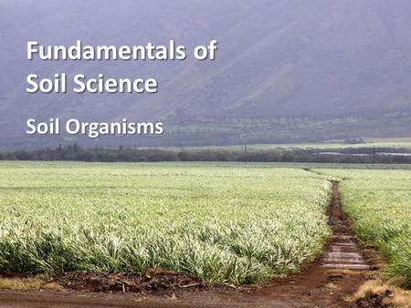 Fundamentals of Soil Science