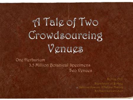 Sylvia OrliSylvia Orli Department of BotanyDepartment of Botany National Museum of Natural HistoryNational Museum of Natural History Smithsonian InstitutionSmithsonian.