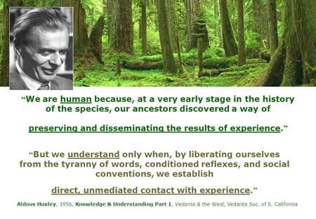 “ We are human because, at a very early stage in the history of the species, our ancestors discovered a way of preserving and disseminating the results.