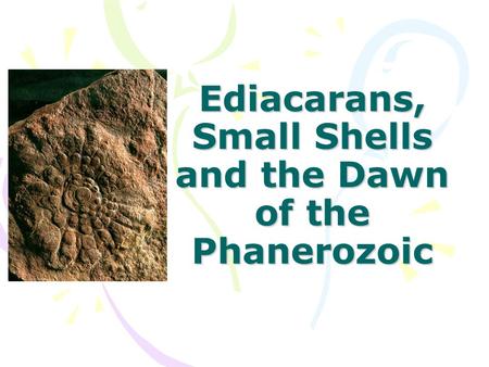 Ediacarans, Small Shells and the Dawn of the Phanerozoic.