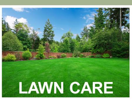 LAWN CARE. TOPICS TO COVER Turfgrass Types Seeding Fertilizer Lawn Care Lawn Pests & Problems.