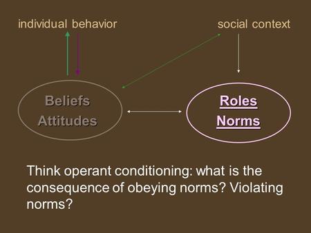 Individual behavior RolesNorms social context BeliefsAttitudes Think operant conditioning: what is the consequence of obeying norms? Violating norms?