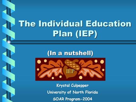 The Individual Education Plan (IEP) (In a nutshell) Krystal Culpepper University of North Florida SOAR Program-2004 IEP.