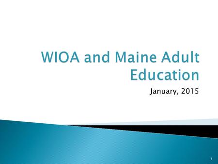 January, 2015 1.  Title I – Workforce Development Activities ◦ Subtitle A: System Alignment ◦ Subtitle B: Workforce Activities and Providers  Title.