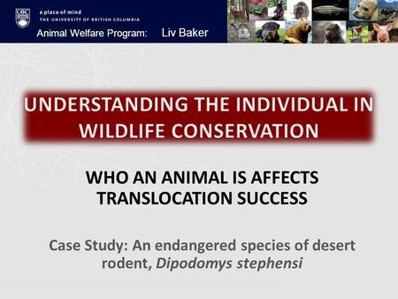 WHO AN ANIMAL IS AFFECTS TRANSLOCATION SUCCESS Case Study: An endangered species of desert rodent, Dipodomys stephensi Animal Welfare Program: Liv Baker.